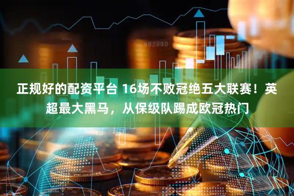 正规好的配资平台 16场不败冠绝五大联赛！英超最大黑马，从保级队踢成欧冠热门