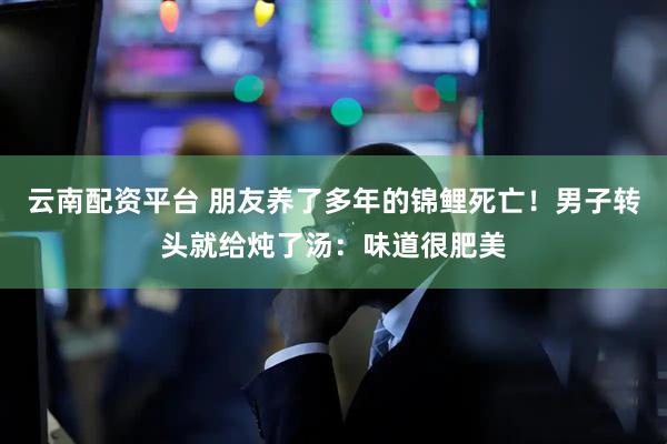 云南配资平台 朋友养了多年的锦鲤死亡！男子转头就给炖了汤：味道很肥美